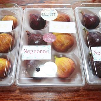【ご予約販売★限定価格】希少イチジク2種セット【農薬・除草剤・化学肥料不使用】和歌山県産 里山のいちじく　２パック（12個入り）　 果物/いちじく通販