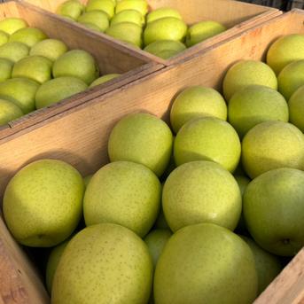 2箱限定「王林」(ご家庭用)樹上完熟3kg | 果物/りんご 産直アウル 農家