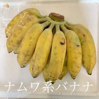 無農薬果物セット 2kg 果物/果物セット・詰め合わせ通販