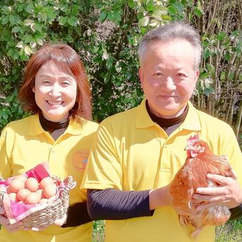 寒たまご（縁起物）えごまたまご35個＋５個入　冷蔵便 35個＋破損保証５個入 卵/鶏卵通販
