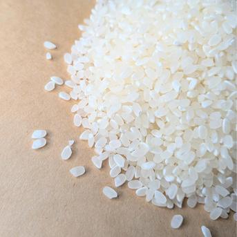 令和7年 新米】京都府産 お米 コシヒカリ 【精米済 10kg】 | 米・穀物