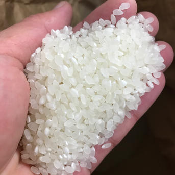 大特価品 令和7年産 淡路島キヌヒカリ 玄米30キロ ｜ 米・穀物/米/精米