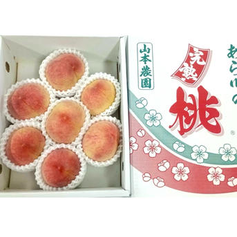 日川白鳳！秀品中玉7玉入り☆あら川ブランド桃 ｜ 果物/もも 産直