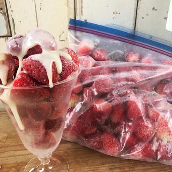 〝たいよう〟冷凍イチゴ小粒大容量【訳あり】加工用5kg 5kg 果物/いちご通販