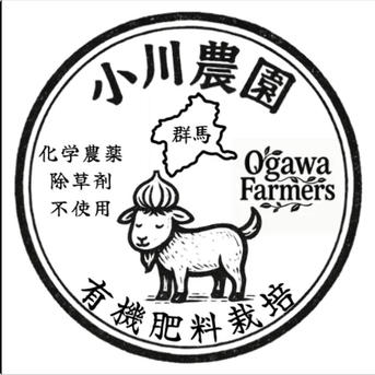 令和8年度 群馬県産 平戸にんにく 有機肥料栽培 化学農薬・除草剤不