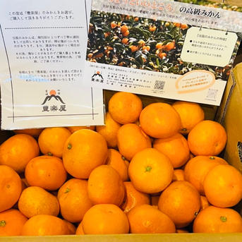 10/31迄★赤字破格❤みかん＊超レア❤超厚手＊極やわ⭐Wボア☆シングルお布団⭐ 最高級】真穴（まあな）産地直送 極上みかん S〜Lサイズ 10キロ 贈答