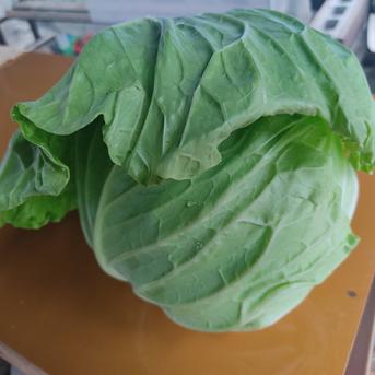 旬のお野菜セット（3～5品）クール便 新鮮野菜3～5品セット 野菜/野菜セット・詰め合わせ通販
