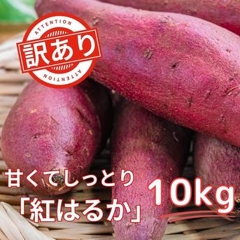 お得な訳あり！さつまいも10kg 熟成紅はるか （土付き） ｜ 野菜