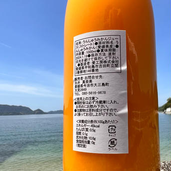 8種から選べる！みかんジュース　2本 2本 飲料/ジュース通販