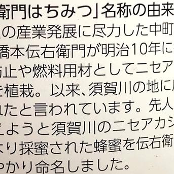 完熟梅の蜂蜜シロップ 大瓶 １ℓ　梅ジュース・ソーダ割りに　福島県須賀川市の希少なハチミツ【伝右衛門はちみつ】使用 1ℓ瓶 はちみつ/はちみつ通販
