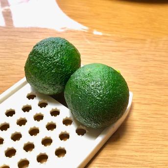 高知県産 ぶしゅかん 17-20玉 酢みかん ぶしゅかん17-20玉 果物/香酸柑橘(ライム・レモン等)通販