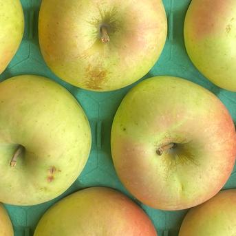 青森県産りんご「ぐんま名月」家庭用 キズ有 約5kg【甘い！】 | 果物