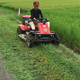 秋田産あきたこまち　白米5㎏ 5kg 米・穀物/米/精米通販