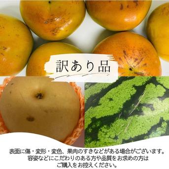 選果落ち 訳あり品 熊本産 ミニトマト＆アイコトマト 合計約1キロ【003