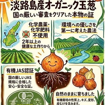 有機栽培玉葱オーガニックはなたま 10kg 淡路島産【飲食店向け】JAS