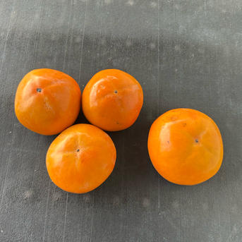 富有柿 ご家庭用 訳あり 箱込み6キロ | 果物/柿 産直アウル 農家から