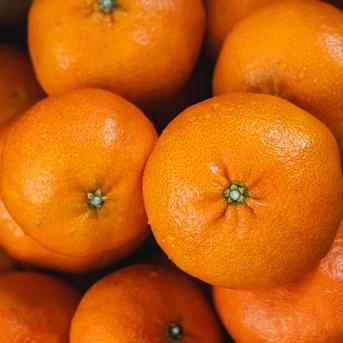 甘平 5kg 〜シャキッとした食感と弾ける粒感〜【家庭用】 | 果物