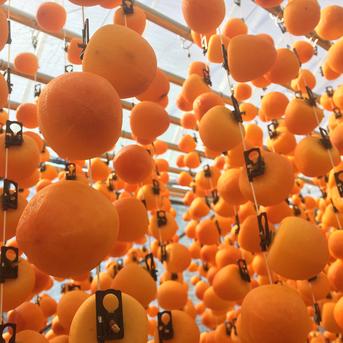 12月お届け》南信州産ブランド干し柿「市田柿」みやまし農産物認証原料