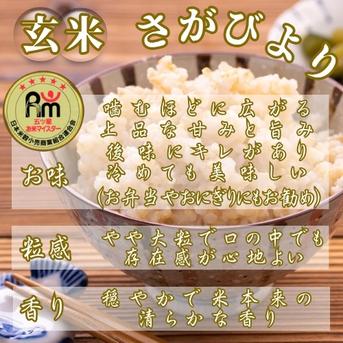特A【玄米】さがびより・夢しずく各3kg(計6kg) ｜ 米・穀物/玄米