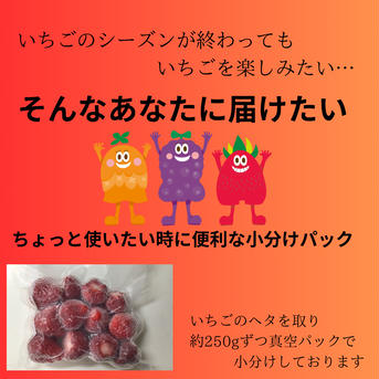 冷凍いちご（粒不揃い）　完熟収穫あまおう　1kg【約250g×4パック】　福岡県朝倉市産 1kg (約250g×4パック) 果物/いちご通販