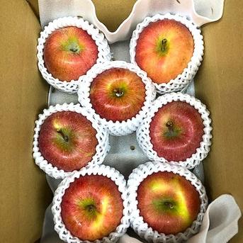 家庭用】高徳(こうとく) | 果物/りんご 産直アウル 農家から直接野菜