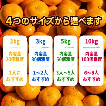 ニコマルみかん 家庭用 10kg ｜ 果物/温州みかん 産直アウル 農家