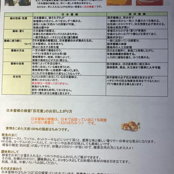 日本ミツバチの生蜂蜜 500gX2本 | はちみつ/はちみつ 産直アウル