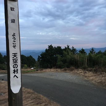 【ご家庭用】黒ゴマ果肉の紀の川柿「天空の村」和歌山 ご家庭用、約2kg（10〜12個入） 果物/柿通販