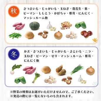 【関西・北陸・東海・信越へ配送の方】100サイズが圧倒的にお買得！箱いっぱい房総旬野菜詰め合わせ（100サイズ箱） 100サイズ箱いっぱい 野菜/野菜セット・詰め合わせ通販