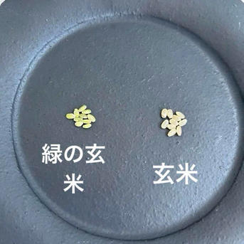 新米 採れたて ひとめぼれ 減農薬栽培 湧き水栽培 ｜ 米・穀物/玄米 