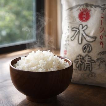 安心・安全 令和7年産 石川県産 有機栽培 コシヒカリ 水の精 白米 5kg 