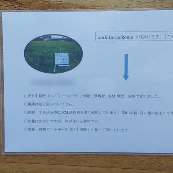 牧田のお米　令和6年産　新米　コシヒカリ玄米（20kg） 20kg  米・穀物/玄米通販