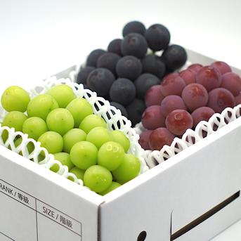 大粒ぶどう詰め合せ3種 | 果物/ぶどう 産直アウル 農家から直接