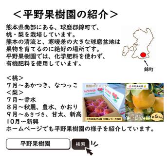 最終販売！秋麗 5kg箱(5〜14個入り) ｜ 果物/梨 産直アウル 農家・漁師