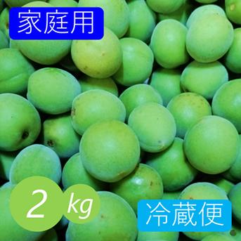 《冷蔵便》【家庭用】青梅 2kg 愛媛県産 梅ジュース 梅シロップ 梅干し 梅酒 梅ジャム 110個前後(S～3Lサイズ) 果物/青梅通販