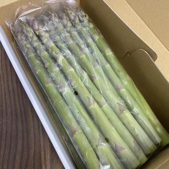 夏芽グリーンアスパラガス　太 1.2kg 野菜/アスパラガス通販