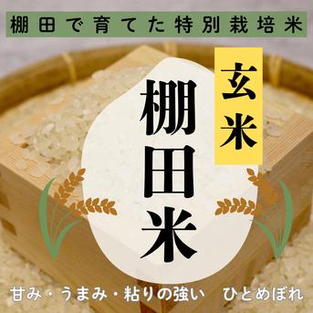 令和7年米予約/特別栽培米】ひとめぼれ 玄米10㎏ 棚田米 | 米