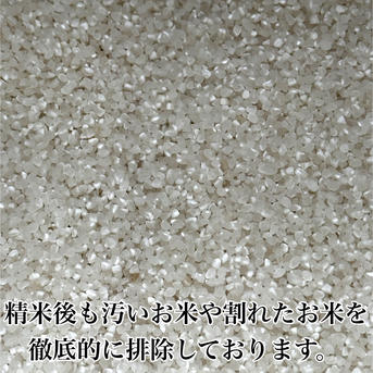 秋田県産あきたこまち【 白希 】~ HAKI ~ 10kg ｜ 米・穀物/米