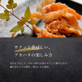 漁師直送！アカハタ　２kg ２㎏　4匹～8匹 魚介類/アカハタ通販