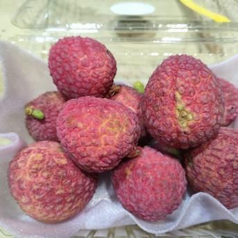 訳あり　生ライチ350ｇ 350グラム 果物/その他果物通販