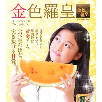 旬祭限定】《予約》大玉すいか羅王食べ比べセットL(金色＋ザ