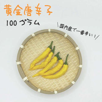 生黄金唐辛子黄色（激辛）5キロ 黄金唐辛子 約100g 宮崎産 完熟 フレッシュ 収穫後農園から直送