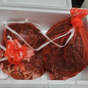 活モクズガニ　計2ｋｇ　オス・メス混ざり（約1ｋｇ×２）※大小混ざり　【北海道、沖縄、離島配送不可】 活タイプ　計２ｋｇ【約1ｋｇ（5-10尾入）×２】オス・メス混ざり　※大小混ざり 魚介類/カニ通販