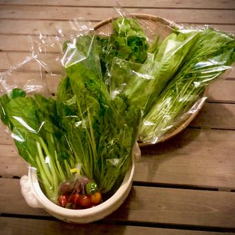 野菜ソムリエ推奨！鍋におすすめの野菜詰め合わせセット【鮮度抜群！香りと食味を楽しむ8品目】 野菜/野菜セット・詰め合わせ通販