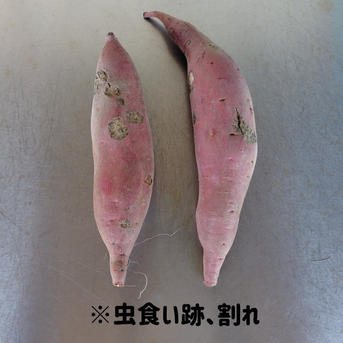 訳ありB品】熟成不要のさつま芋「あまはづき10kg」（虫害・割れ・キズ