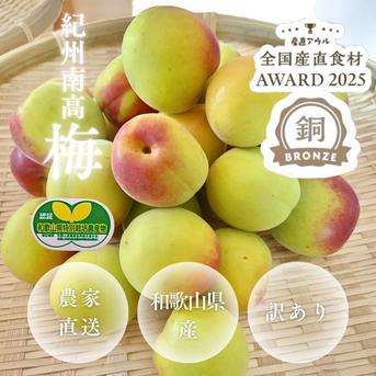 朝もぎ当日発送】梅干し用 完熟梅 農家直送 ｜ 果物/青梅 産直アウル