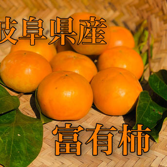 ご家庭用富有柿Mサイズ20個 4kg 果物/柿通販