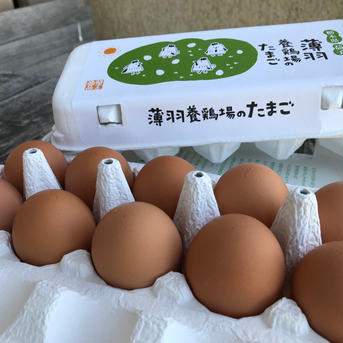【母の日ギフト】たまごとスイーツセット🍮全6品 赤たまご20個、ぷりん2個、エッグタルト2個、ディップソース1個、燻製卵2個、たまごかけ醤油1本 卵/卵セット・詰め合わせ通販