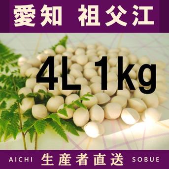 2026年新物 久寿 銀杏 ぎんなん 祖父江産 3L 6kg 2026年新物！ 愛知県 祖父江産 久寿 銀杏 ぎんなん 4L 1kg ☆秋の味覚