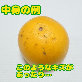 訳アリ土佐文旦 10㎏ 10㎏ 果物/オレンジ・その他みかん通販